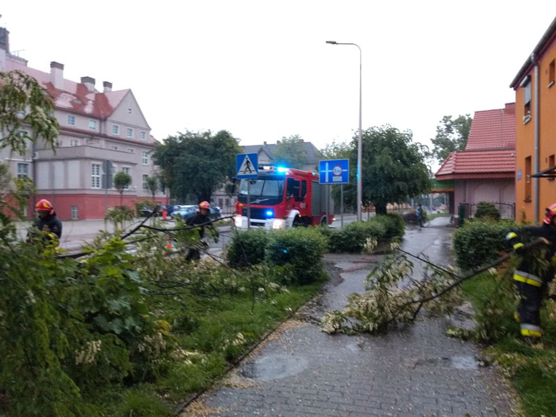 Drzewo runęło na chodnik i ulicę. Akcja strażaków w Śródmiesciu