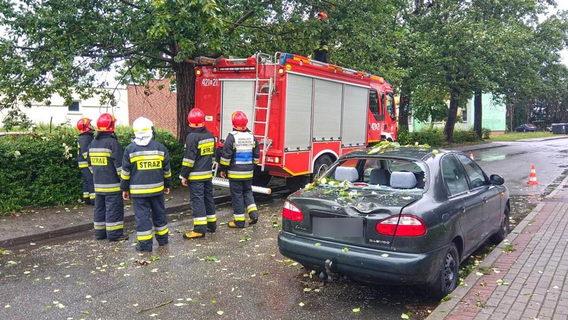 Drzewo spadło na samochód. Interweniowali strażacy. ZDJĘCIA