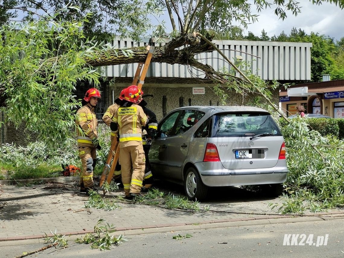 Drzewo spadło na zaparkowany samochód. Strażacy interweniowali w Śródmieściu