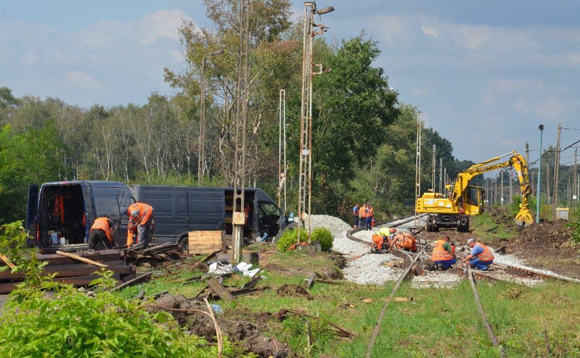 Duże remonty infrastruktury kolejowej. Przywrócą ruch na nieczynnym od 19 lat torze