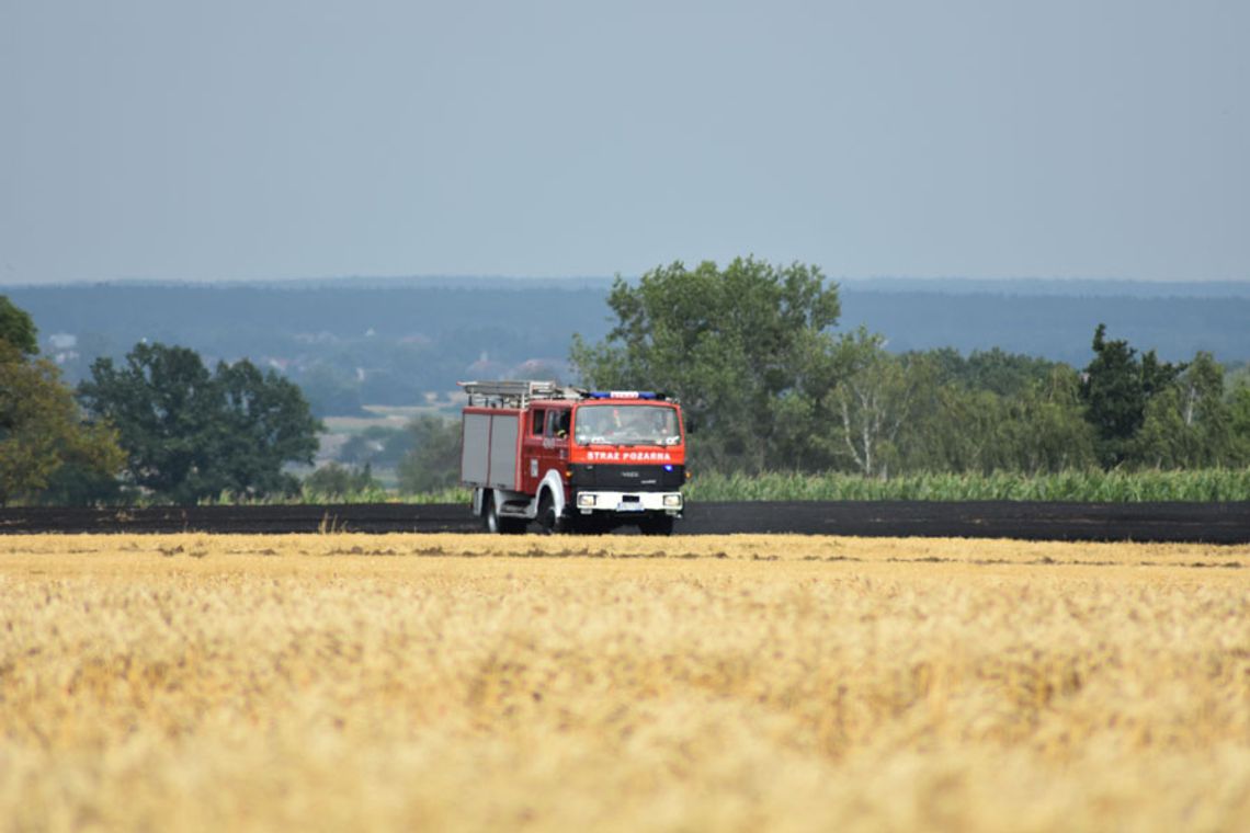 Dwa pożary pól jeden po drugim. Strażacy prowadzili akcję gaśniczą