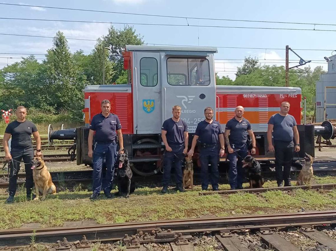 Dworzec zamienił się w poligon. Policyjne psy ćwiczyły pościgi i wykrywanie narkotyków