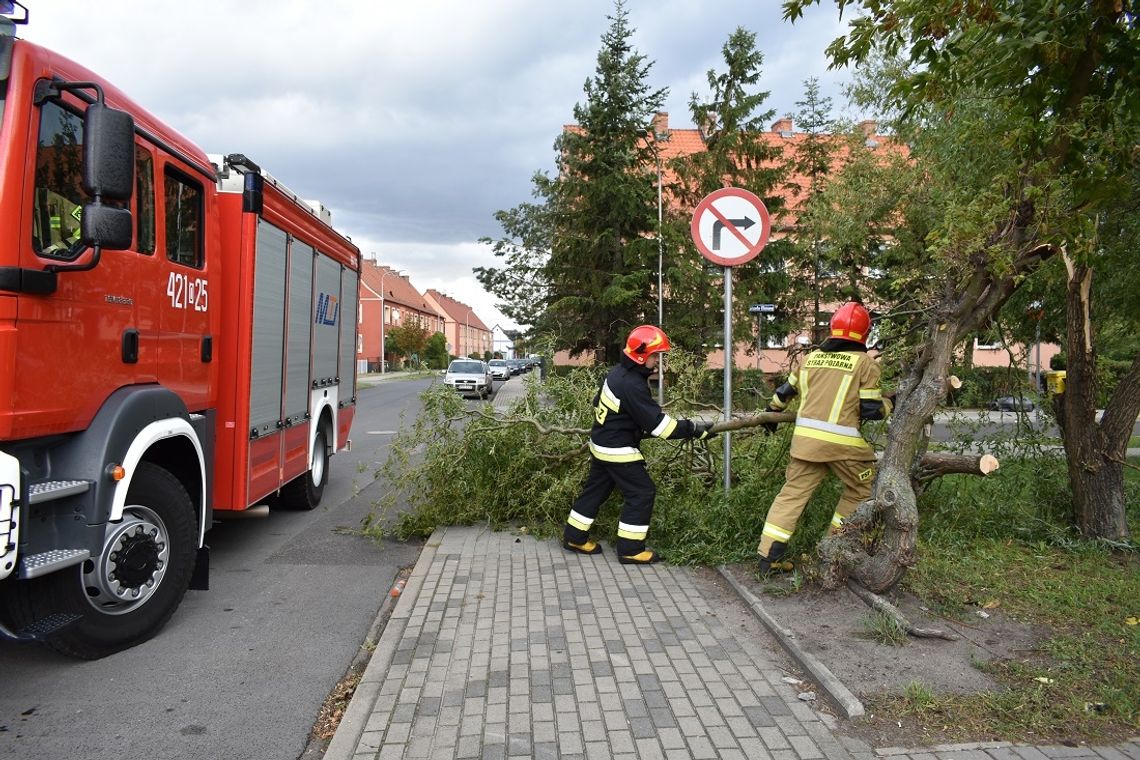 Dziesiątki interwencji strażaków. Bilans poniedziałkowej wichury