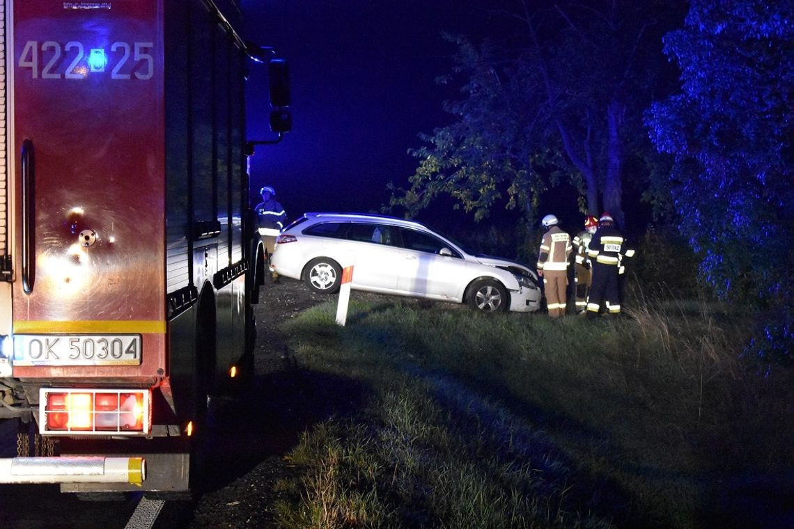 Dzik wbiegł wprost pod maskę peugeota. Kolizja na drodze krajowej nr 38