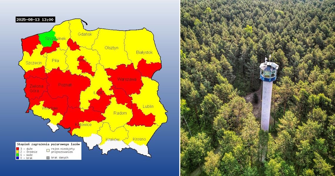 Ekstremalne zagrożenie pożarowe w opolskich lasach. Nadleśnictwo apeluje o rozwagę