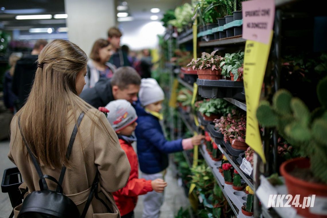 Festiwal Roślin w Kędzierzynie-Koźlu. Raj dla miłośników zieleni już w ten weekend