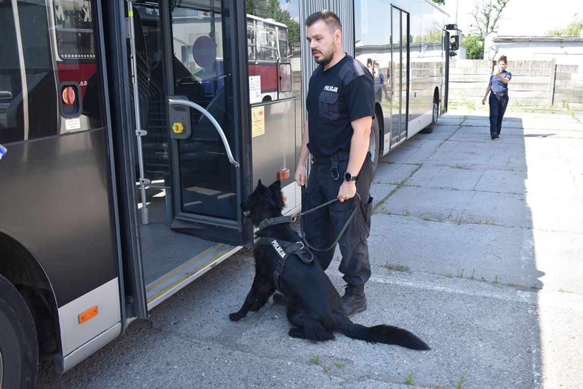 Funkcjonariusze z psami szukali narkotyków i materiałów wybuchowych w autobusach. ZDJĘCIA