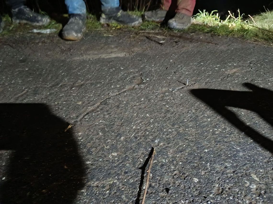 Gwoździe powbijane w asfalt. Policja poszukuje świadków i pokrzywdzonych Gwoździe powbijane w asfalt. Policja poszukuje świadków i pokrzywdzonych