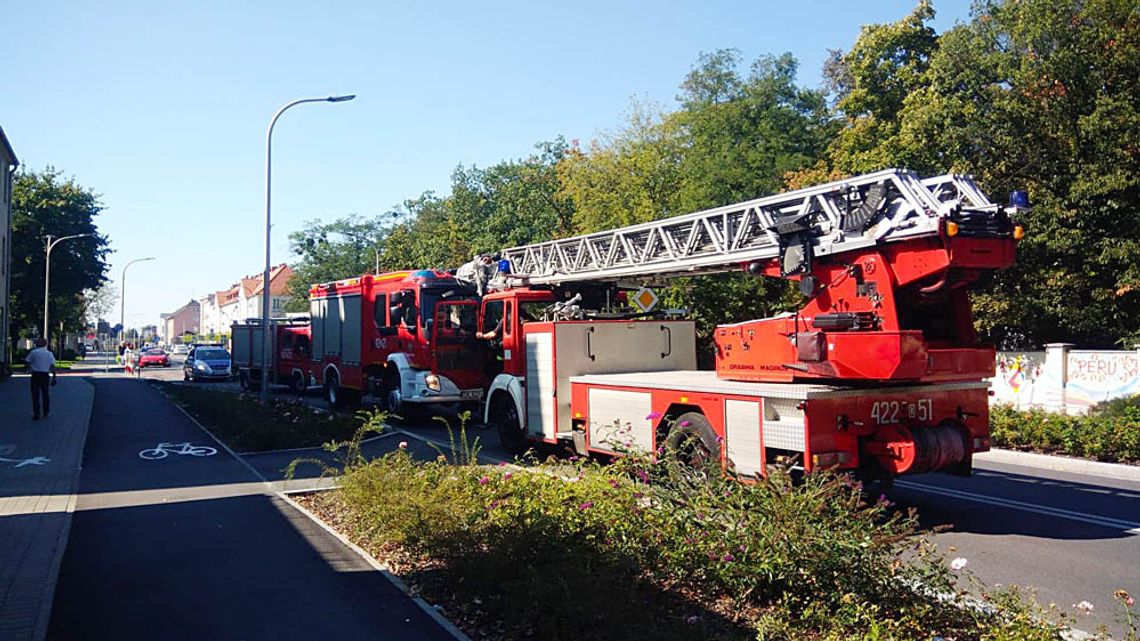 I po obiedzie. Strażacy interweniowali przy alei Jana Pawła II