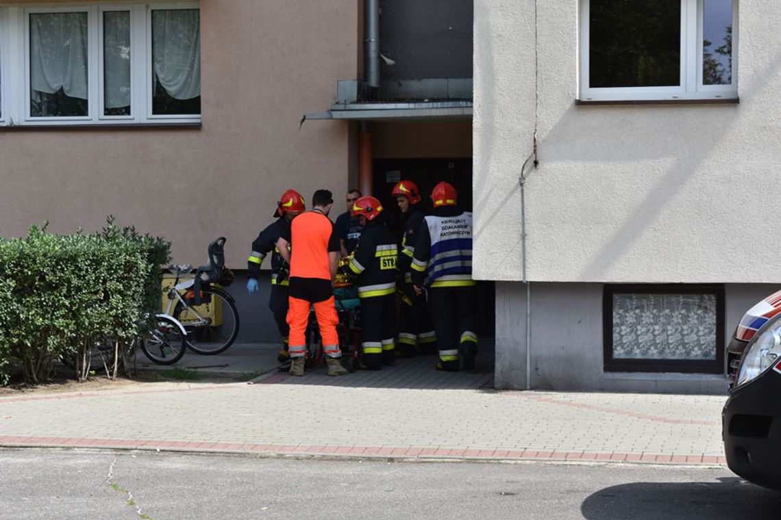 Interwencja służb ratunkowych w śródmiejskim wieżowcu. Lokator trafił do szpitala