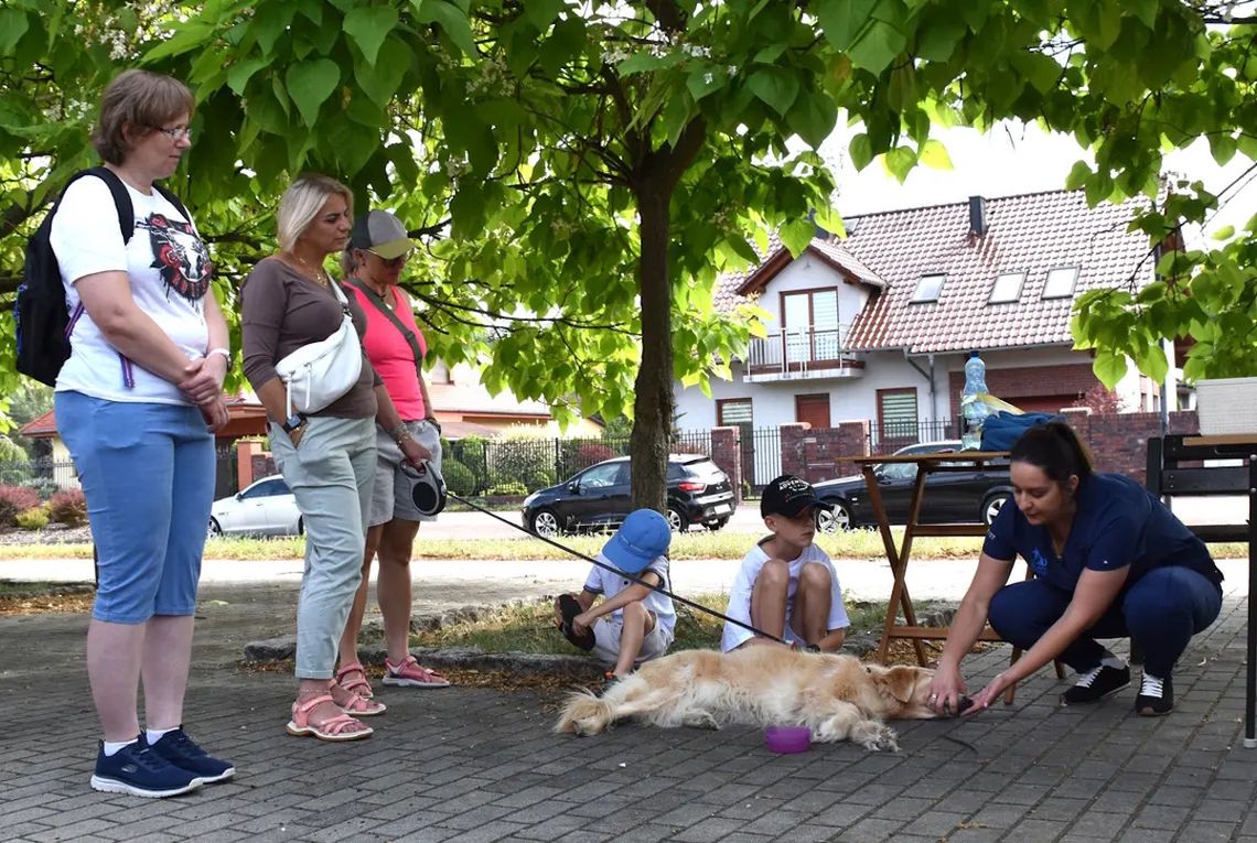 Jak pomóc pupilowi w nagłej sytuacji? W niedzielę praktyczne szkolenie na wybiegu dla psów w Koźlu Jak pomóc pupilowi w nagłej sytuacji? W niedzielę praktyczne szkolenie na wybiegu dla psów w Koźlu