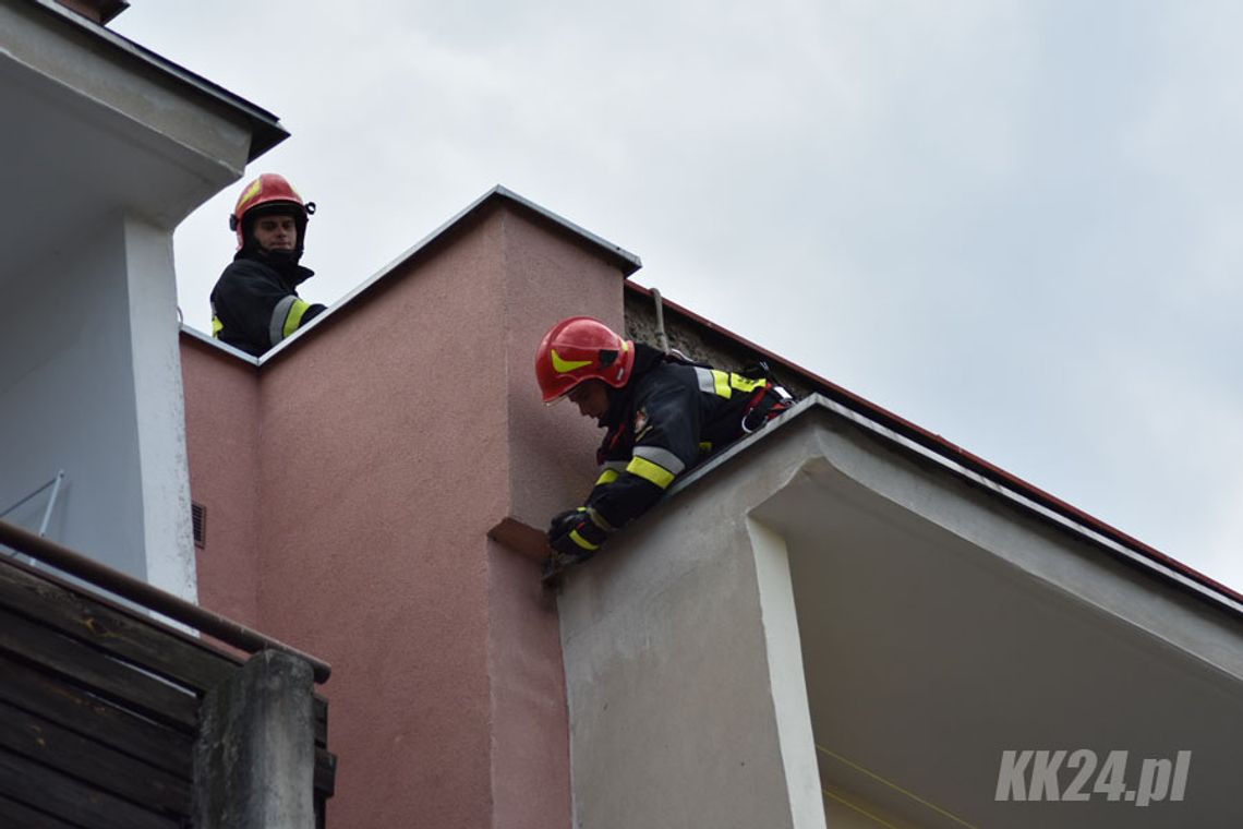 Jaskółka w opałach. Strażacy uwolnili zaplątanego w linki ptaka