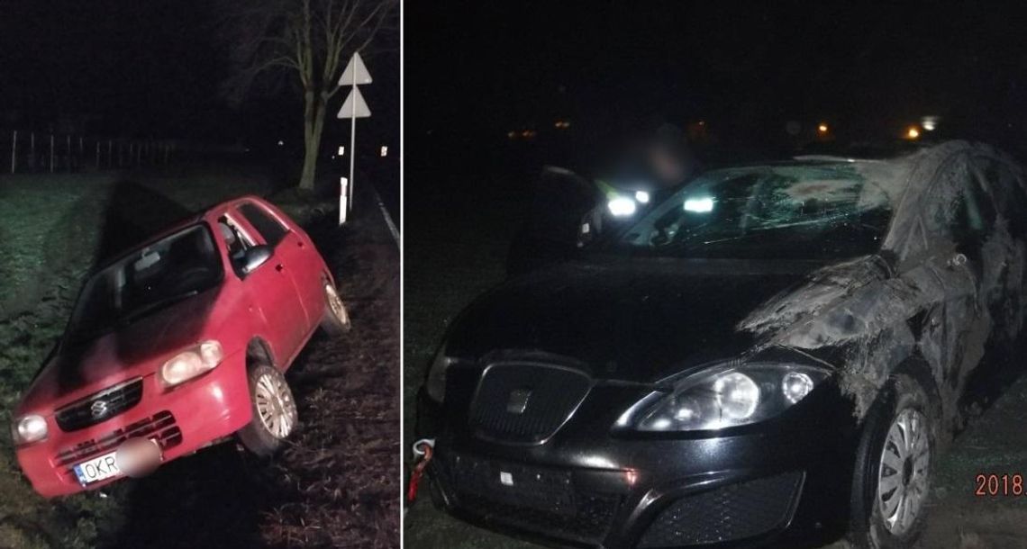 Jeden zakręt, dwa wypadki w krótkim odstępie czasu. Seat i suzuki wypadły z drogi. ZDJĘCIA