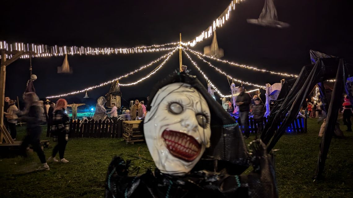 To miejsce znów przyprawi odwiedzających o dreszcze. Wraca Ogród Halloweenowy w Roszowickim Lesie To miejsce znów przyprawi odwiedzających o dreszcze. Wraca Ogród Halloweenowy w Roszowickim Lesie