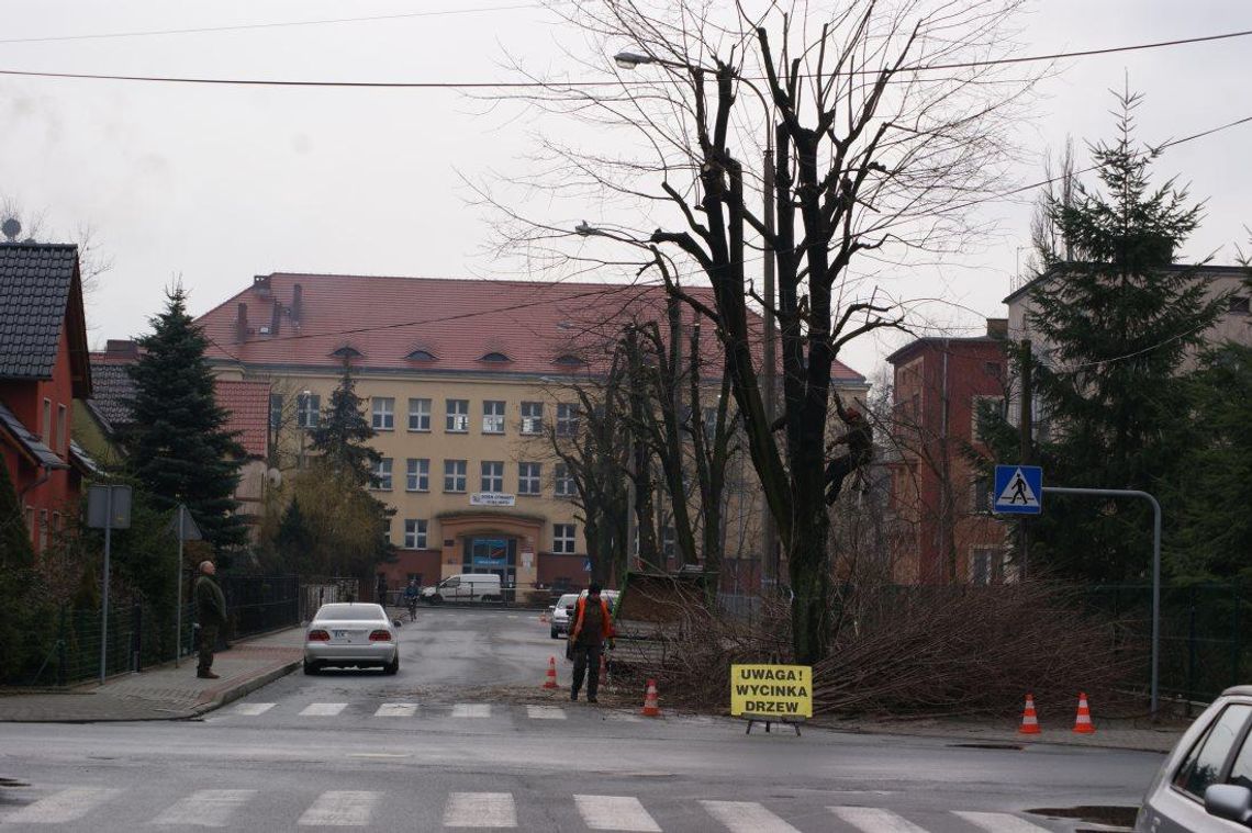 Jesienią straciły liście, wiosną gałęzie. Ruszyły prace pielęgnacyjne na osiedlach