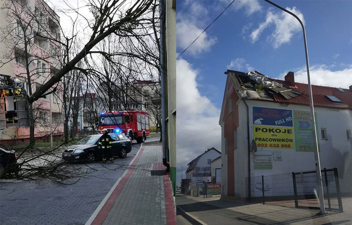 Kędzierzyn-Koźle zdemolowany po wichurze. Kolejna porcja zdjęć od czytelników