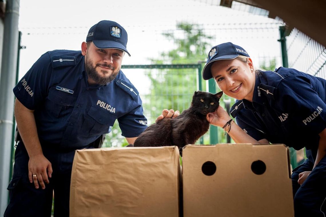 Kędzierzyńscy policjanci z sercem dla zwierząt. Zachęcają do adopcji bezdomnych czworonogów Kędzierzyńscy policjanci z sercem dla zwierząt. Zachęcają do adopcji bezdomnych czworonogów