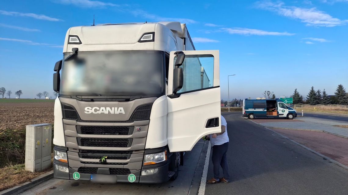 Kierowca ciężarówki prowadził przez 20 godzin w ciągu dobry. Wpadł na punkcie w Reńskiej Wsi Kierowca ciężarówki prowadził przez 20 godzin w ciągu dobry. Wpadł na punkcie w Reńskiej Wsi