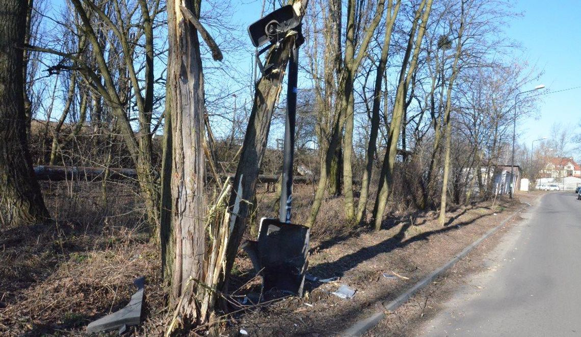 Kierowca tira wjechał w drzewo i uciekał policjantom. Funkcjonariusze siłą wyciągnęli go z kabiny