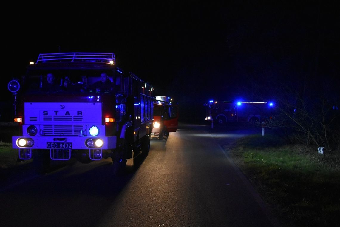 Kierowca zauważył ogień w lesie. Nocna interwencja kędzierzyńskich strażaków w Niezdrowicach