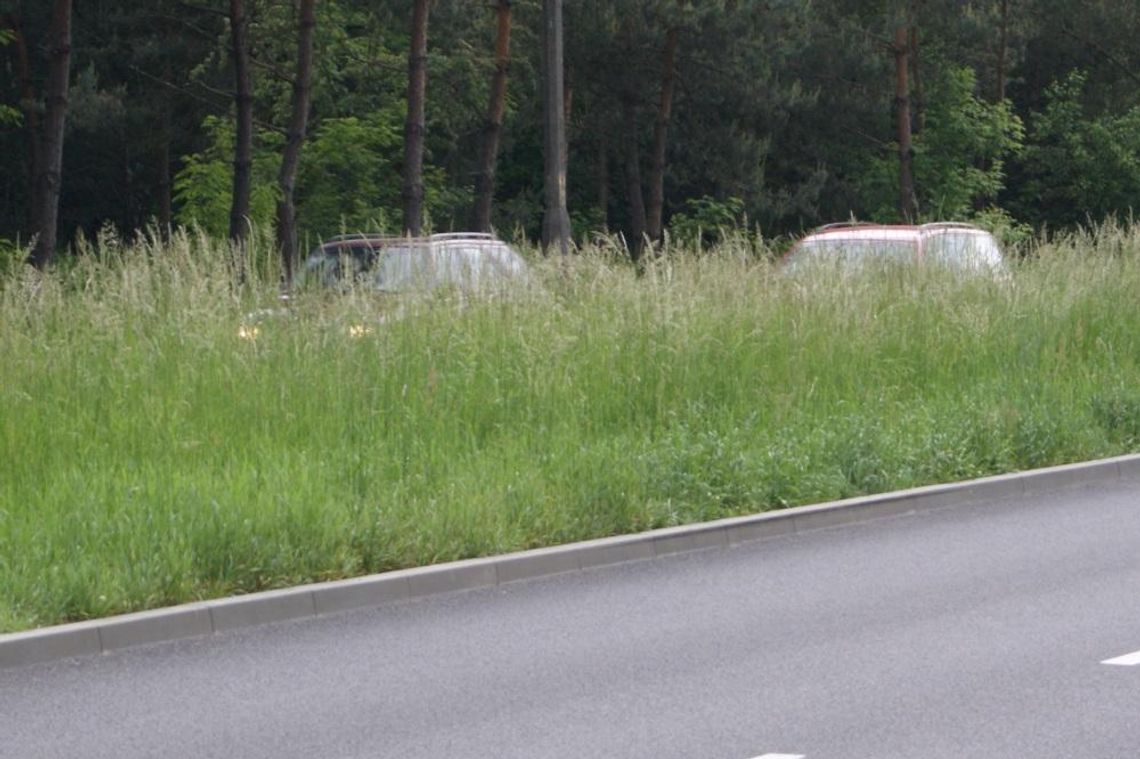 Kierowcy z Kędzierzyna-Koźla skarżą się na stan utrzymania dróg w mieście