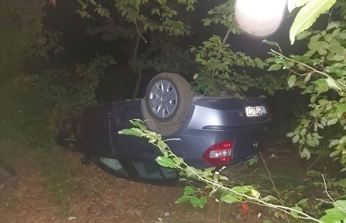Kierująca osobowym BMW straciła panowanie i wjechała do lasu. Służby ratunkowe interweniowały na drodze do Januszkowic