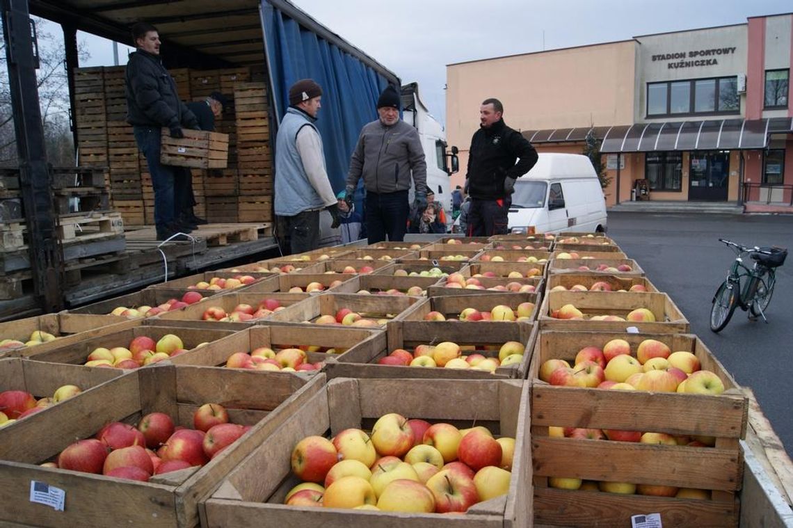 Kilkanaście ton darmowych jabłek znów trafi do mieszkańców Kędzierzyna-Koźla