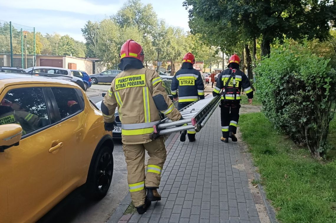 Kobieta zatrzasnęła psa w mieszkaniu. Nietypowa interwencja strażaków w Śródmieściu