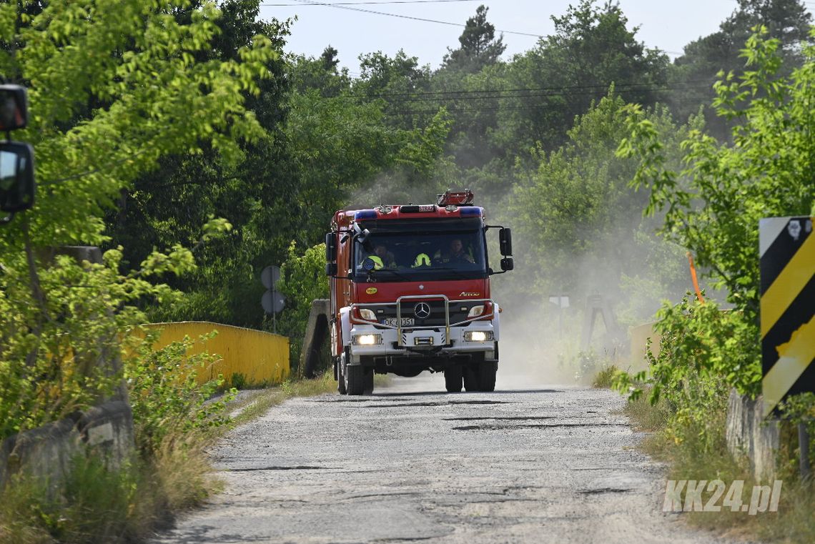 Kolejne dwa pożary w lesie. Służby w akcji między Śródmieściem, Azotami a Sławięcicami