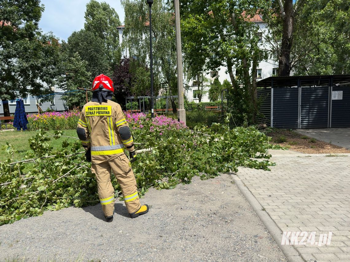 Konar runął na osiedlowy chodnik. Interweniowali strażacy