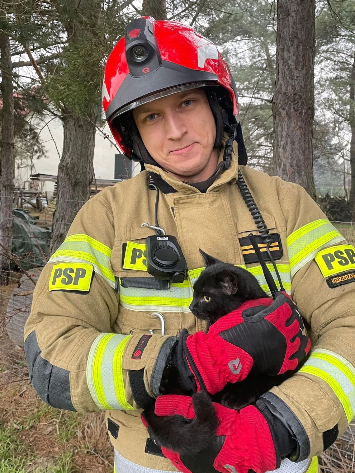 Kot wszedł na drzewo i utknął. Na ratunek zwierzęciu przybyli strażacy Kot wszedł na drzewo i utknął. Na ratunek zwierzęciu przybyli strażacy