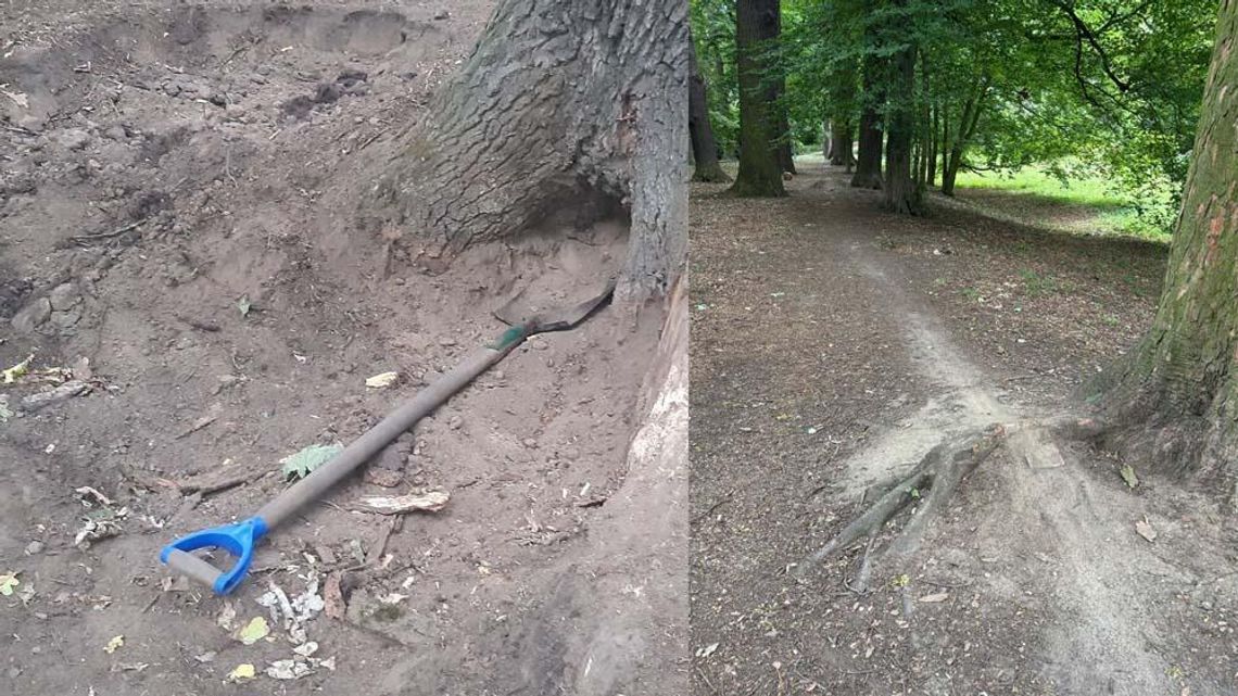 Ktoś urządził sobie tor rowerowy w zabytkowym parku. Urząd przestrzega przed konsekwencjami Ktoś urządził sobie tor rowerowy w zabytkowym parku. Urząd przestrzega przed konsekwencjami