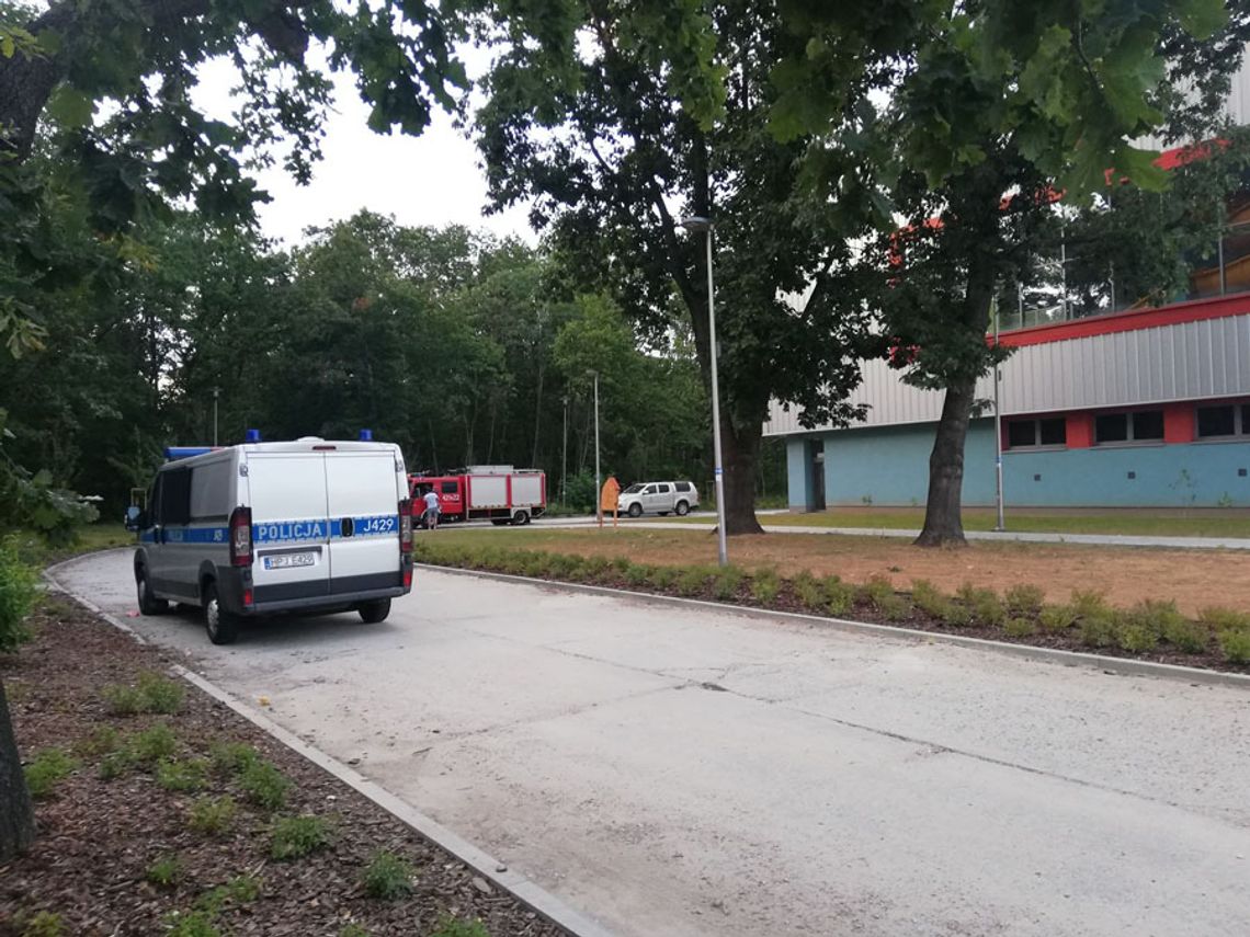 Ktoś znowu podpalił las za krytą pływalnią. Interweniowała straż pożarna i policja