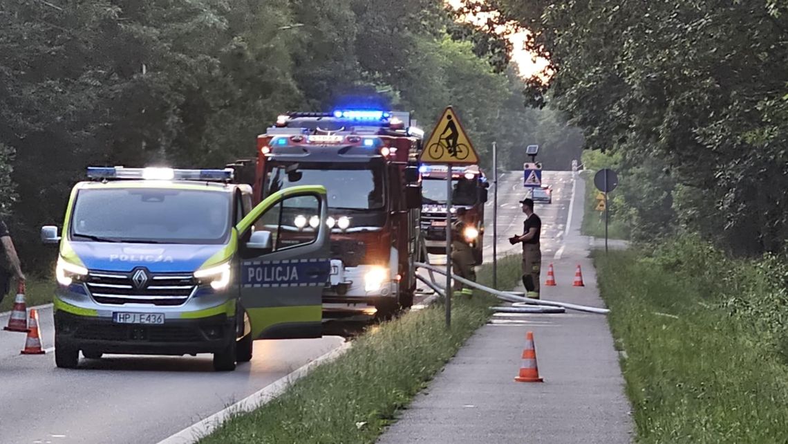 Las między Azotami a Piastów znów w ogniu. Strażacy walczyli pożarem