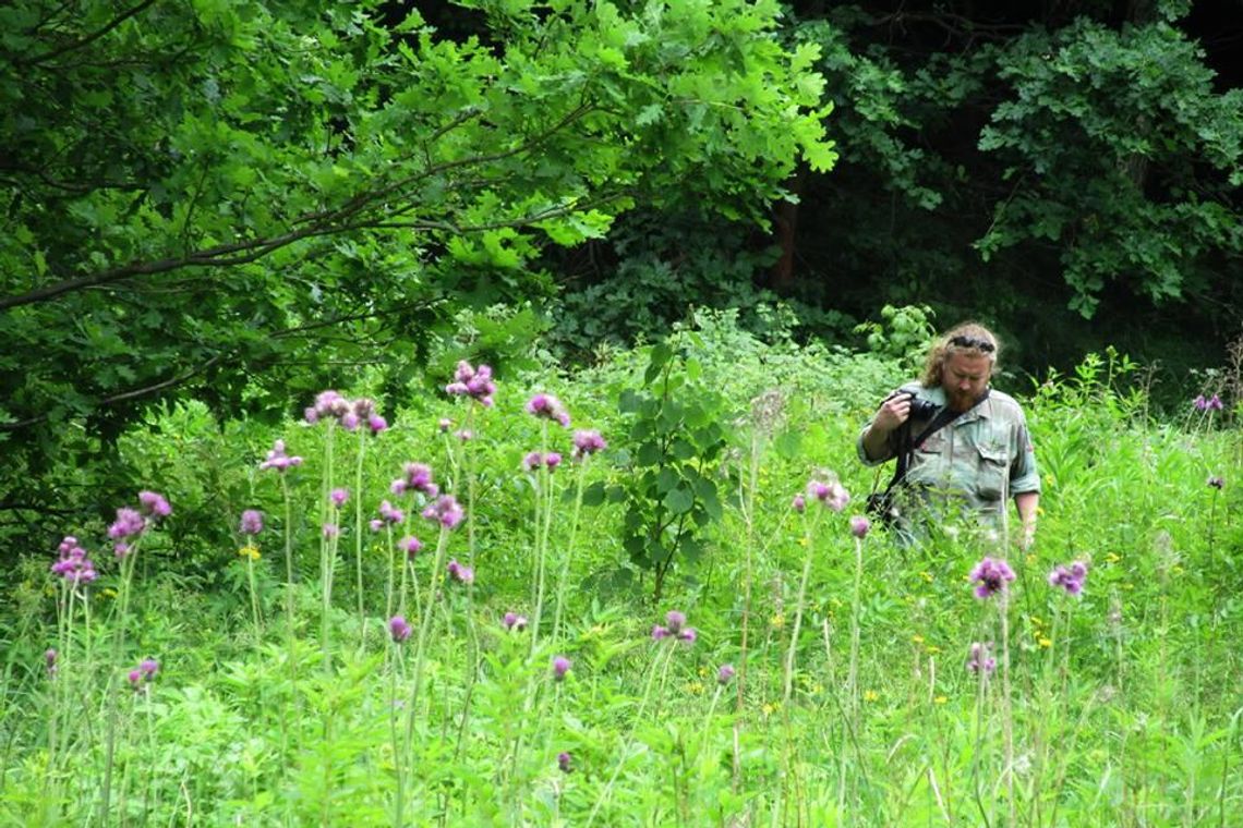 Ma oko do drzew. Mieszkaniec Kędzierzyna-Koźla wygrał konkurs fotograficzny Zespołu Opolskich Parków Krajobrazowych