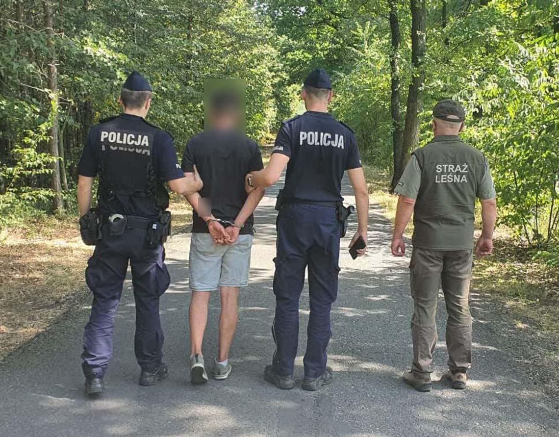 Mają podpalacza! Młody mężczyzna odpalał w lesie petardy. Został złapany na gorącym uczynku