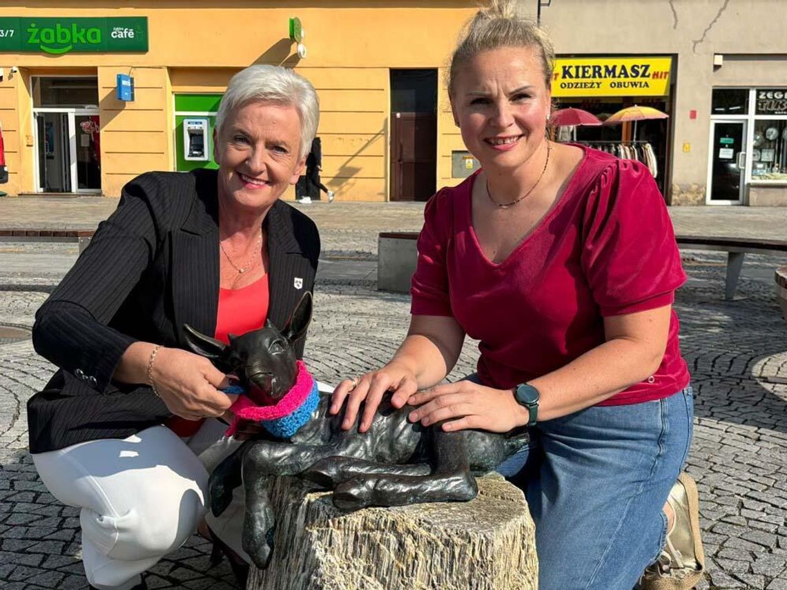 Małe szaliki, wielka sprawa. Miejskie Koziołki przypominają o badaniach Małe szaliki, wielka sprawa. Miejskie Koziołki przypominają o badaniach