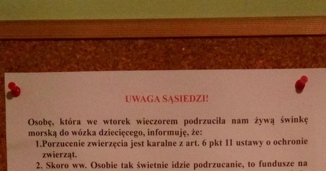 MATOŁKI: Sąsiedzkie porachunki czy zwykła ludzka głupota?