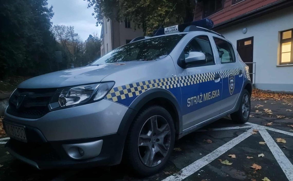 Miasto szuka nowego szefa Straży Miejskiej. Jest konkurs na stanowisko komendanta