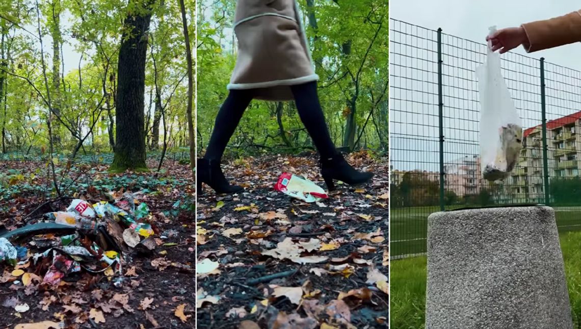 Miasto wspólnie z Nadleśnictwem i Czystym Regionem zachęca mieszkańców do zbierania śmieci podczas leśnych spacerów