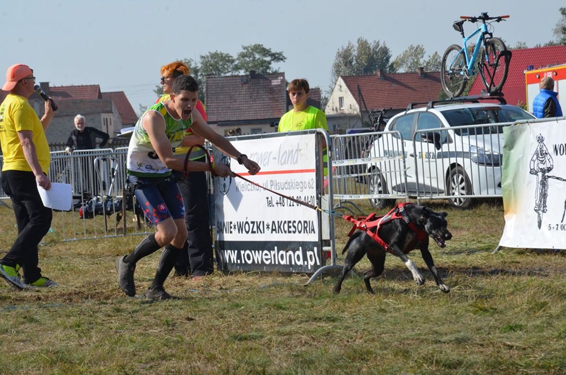 Międzynarodowe zmagania w Lubieszowie. Trwają mistrzostwa świata psich zaprzęgów. ZDJĘCIA
