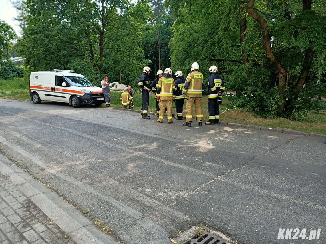 Mieszkańców zaniepokoił intensywny zapach gazu w powietrzu. Interweniowali strażacy i pogotowie gazowe