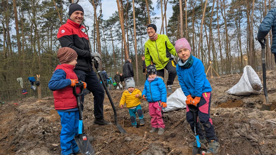Mieszkańcy wspólnie sadzą las. Duża frekwencja na ekologicznej akcji