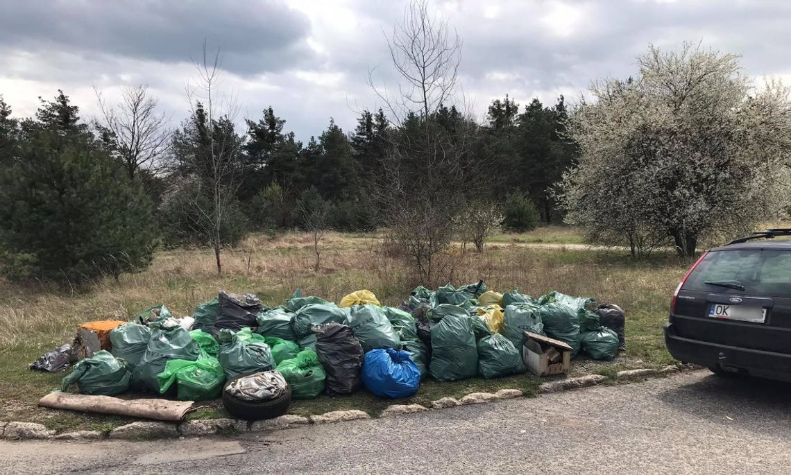 Mieszkańcy Żabieńca zakasali rękawy i ruszyli wysprzątać las przy osiedlu. ZDJĘCIA