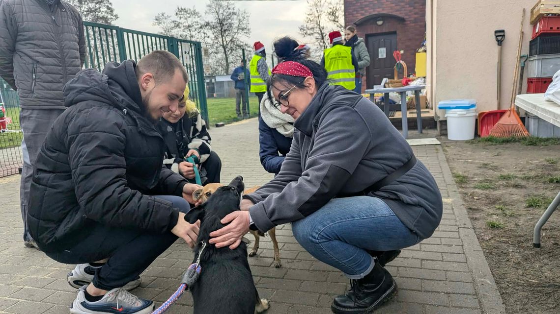 Mikołajki w schronisku. Dzień otwarty „Przyjdź, Poznaj, Pokochaj” przyciągnął wielu miłośników zwierząt Mikołajki w schronisku. Dzień otwarty „Przyjdź, Poznaj, Pokochaj” przyciągnął wielu miłośników zwierząt