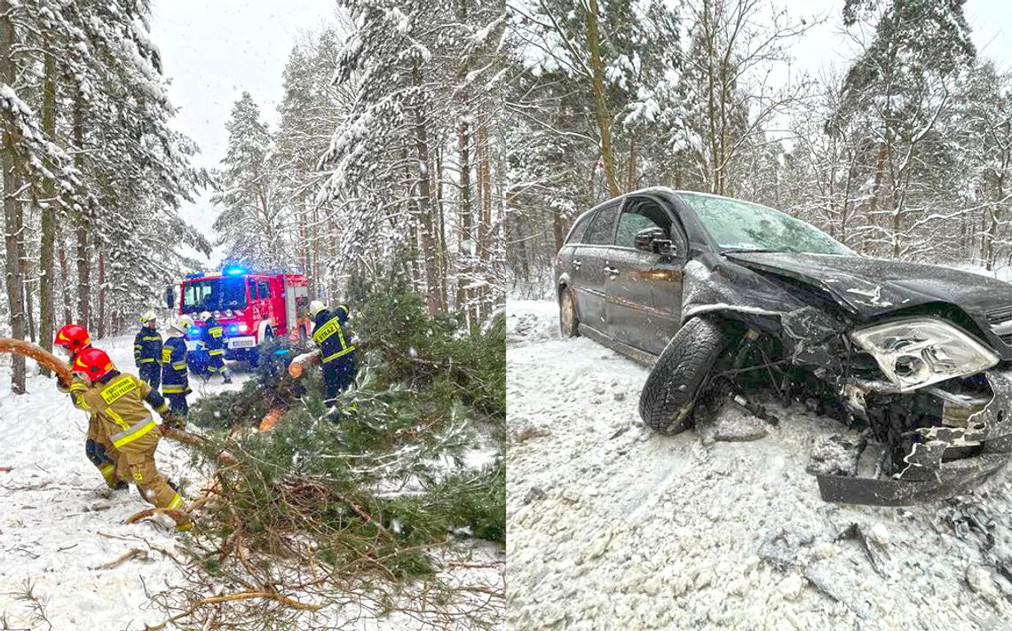 Na jadący samochód spadło obciążone śniegiem drzewo. Doszło też do zderzenia czołowego