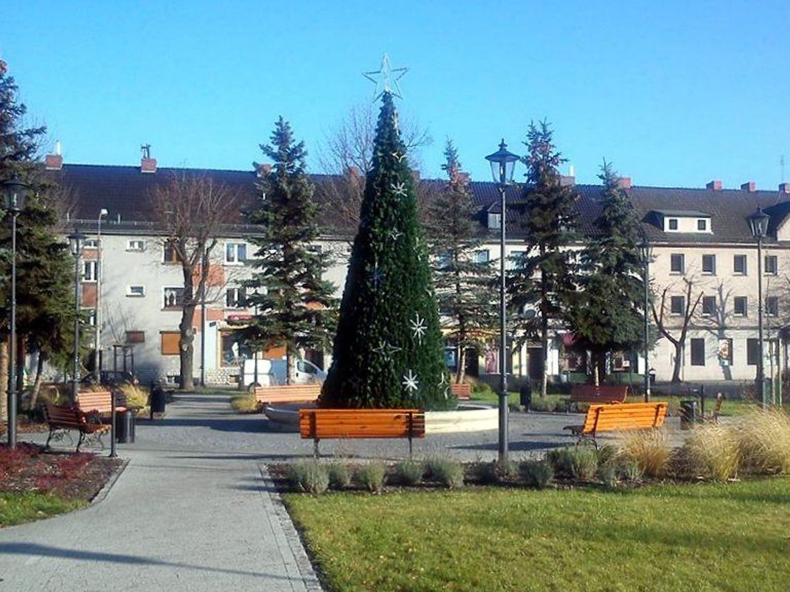 Na placu Wolności stanęła wielka choinka. Dziś także premiera iluminacji na Rynku