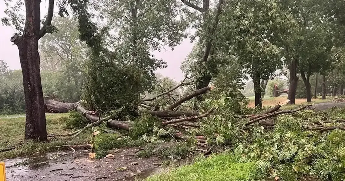 Nawałnica dała się we znaki. Zalane piwnice i połamane drzewa w powiecie