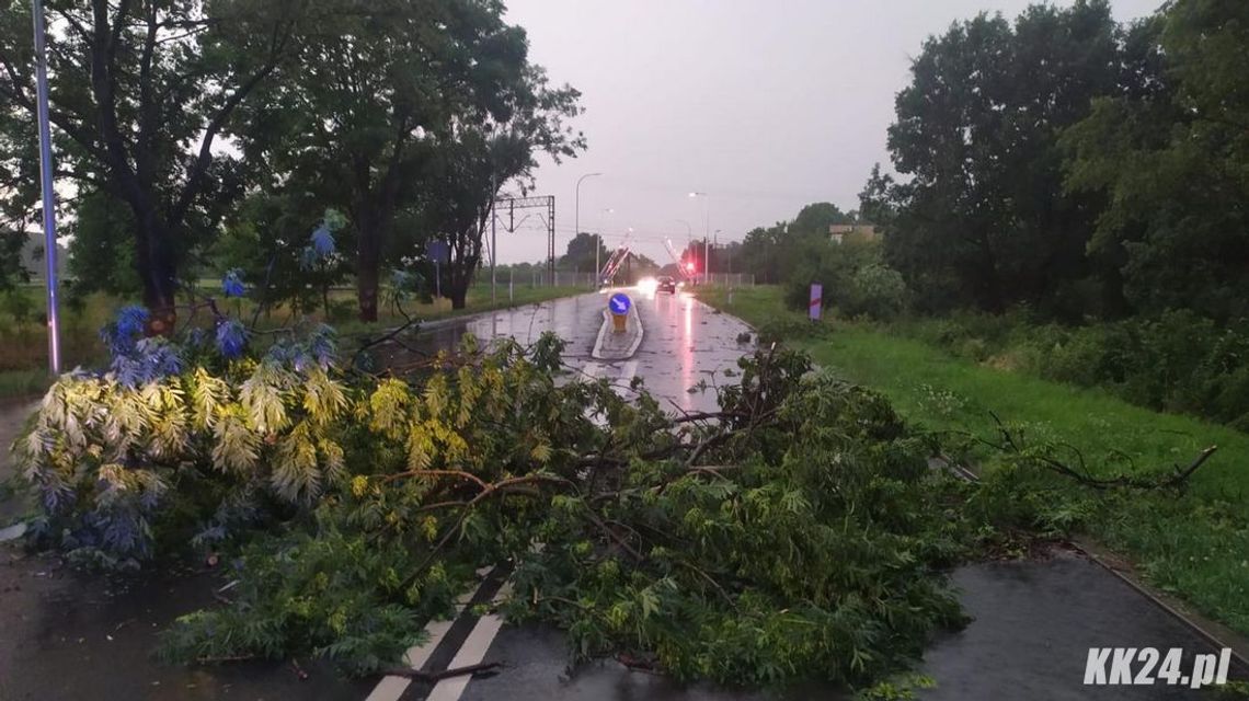 Nawałnica przechodzi nad powiatem. Strażacy wyjeżdżają do powalonych drzew i linii energetycznych