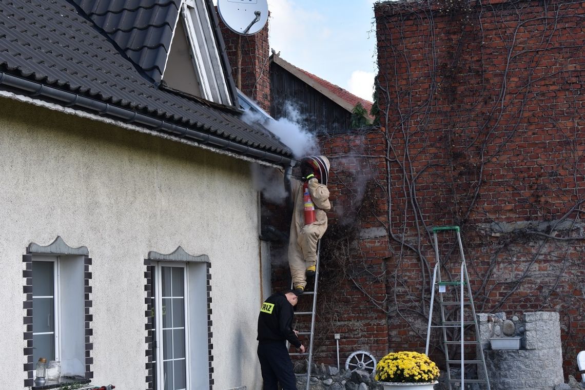 Nieproszeni goście w domu. Interweniowała straż pożarna